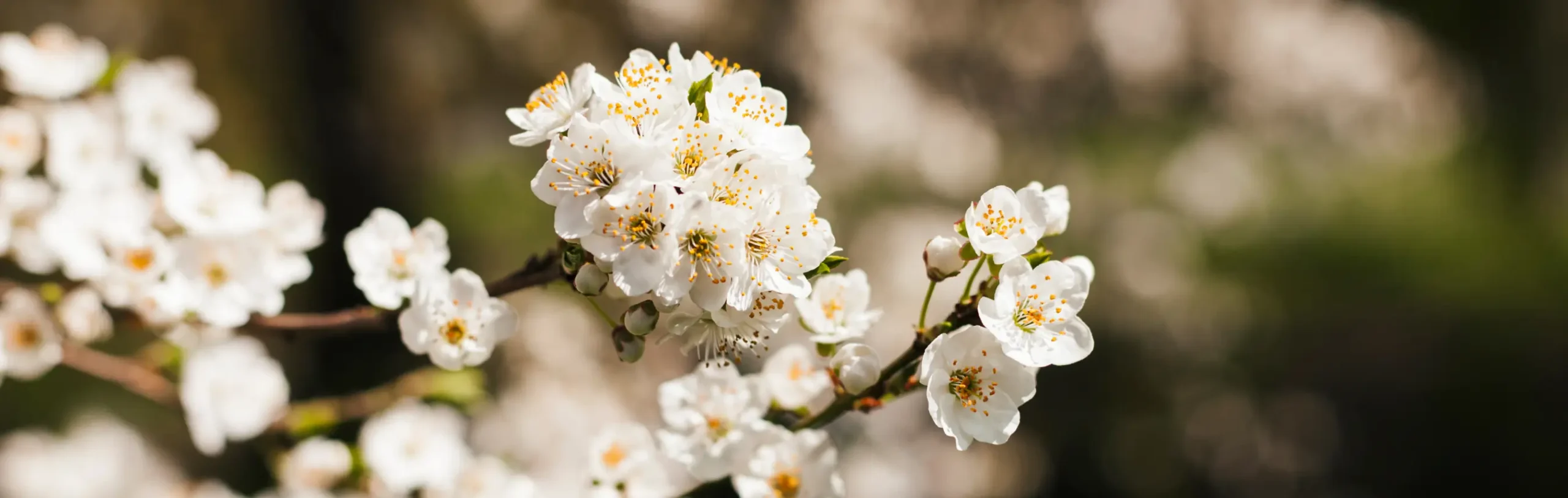 Вдохновение